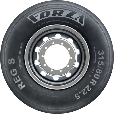 FORZA шины FORZA REG S